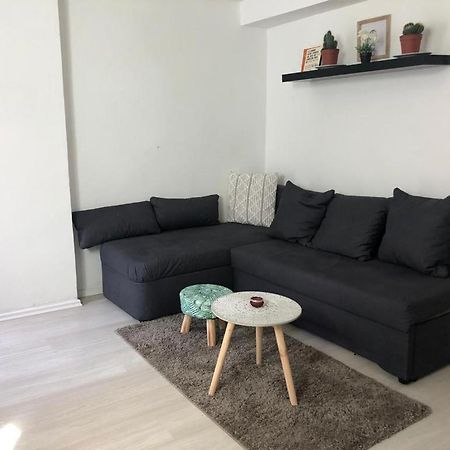 Bescheidene Untergeschoss Wohnung In Guter Lage. Cologne Luaran gambar