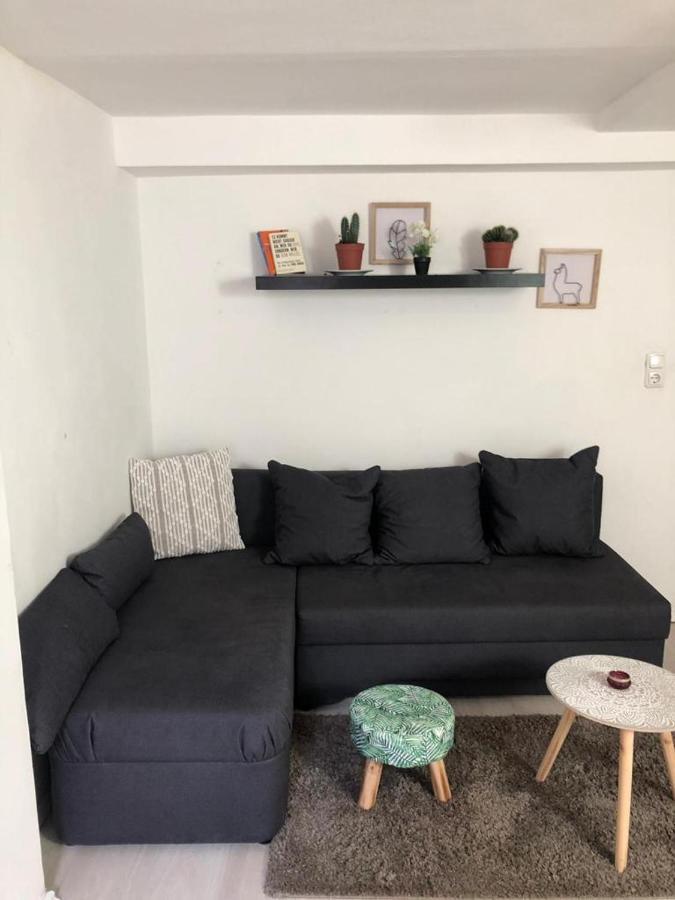 Bescheidene Untergeschoss Wohnung In Guter Lage. Cologne Luaran gambar